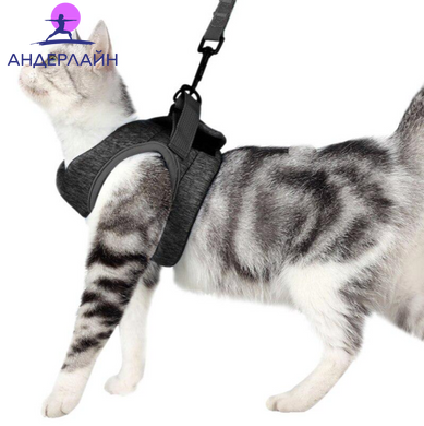 Регульований жилет шлейка з повідцем для котів